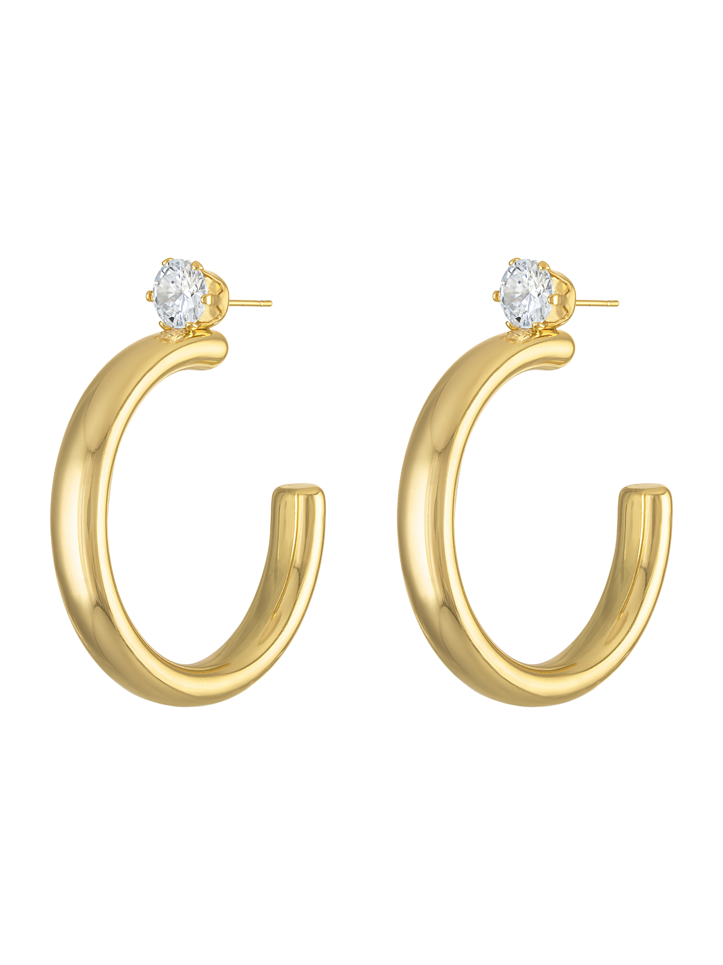 Aurelia Hoop Earring